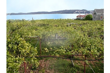 Chorvatsko Privát Seget Donji, Exteriér